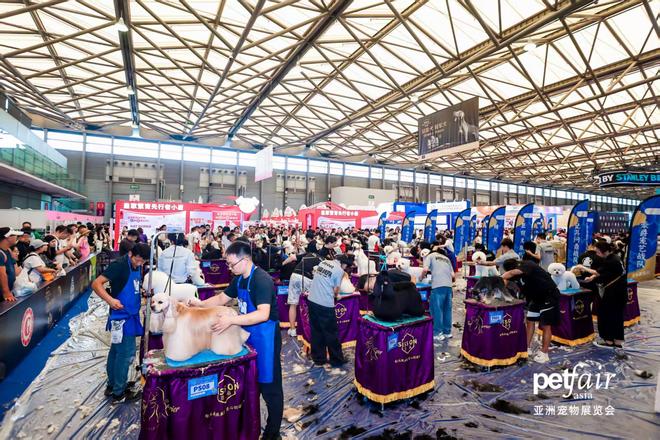 围观亚宠展 120+智能黑科技集结麻将胡了七成是年轻人！51万人次
