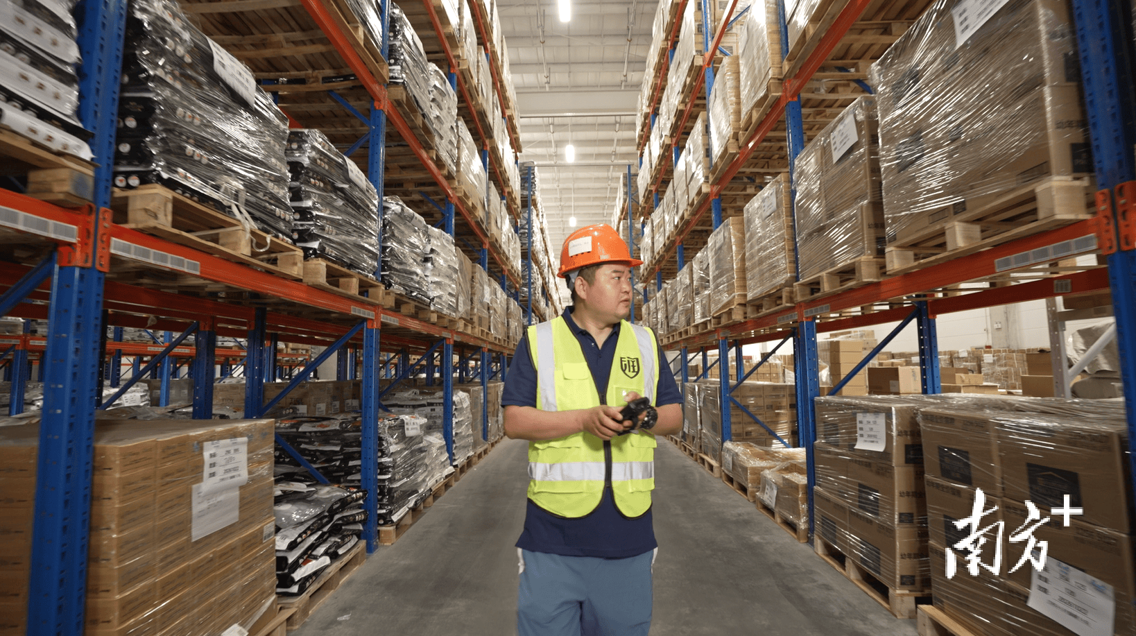 济“铁三角”撬动万亿市场麻将胡了游戏大湾区宠物经(图3)