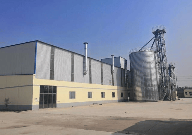 宠物领衔猫粮狗粮猫粮狗粮全价全价成成犬粮