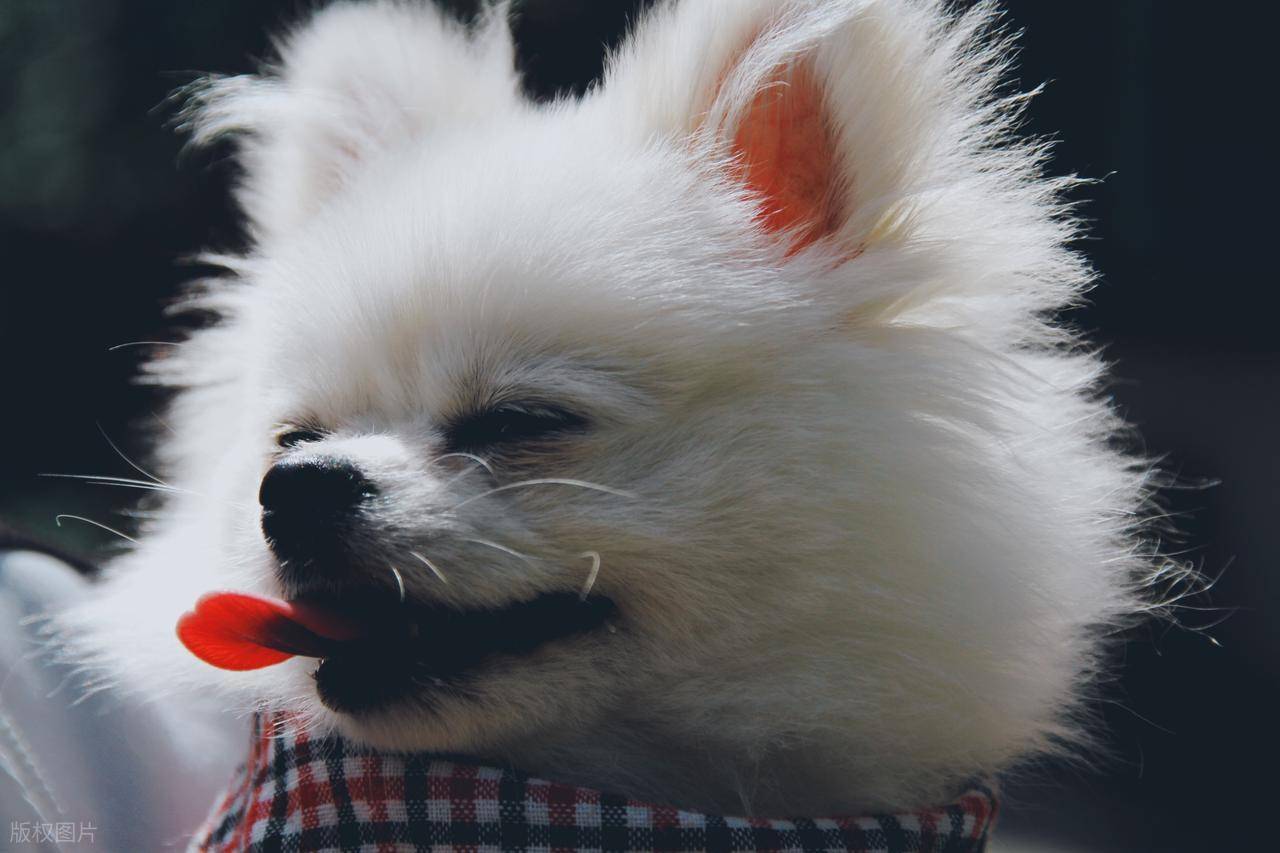 流：到店 “加好友送零食”私域月增 10